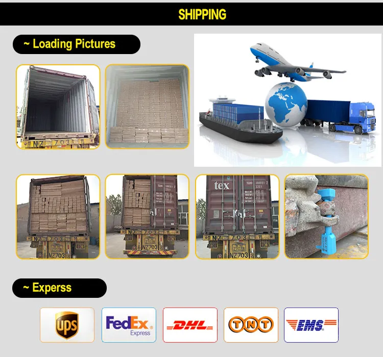 Shipping Logistics