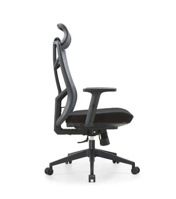 Ergonomic Chair 1
