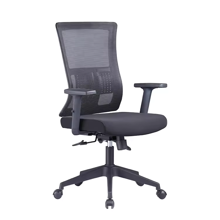 Comfortable Task Desk Chair with Lumbar Support and Modern Aesthetic
