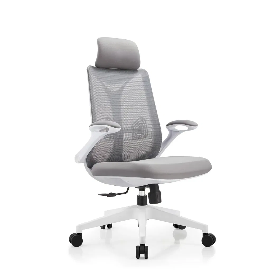 Ergonomic Mesh Office Chair View 1