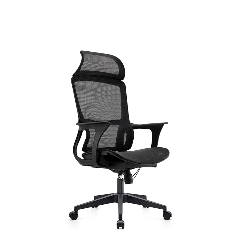 Stylish Mesh Task Chair with Lumbar Support and Breathability