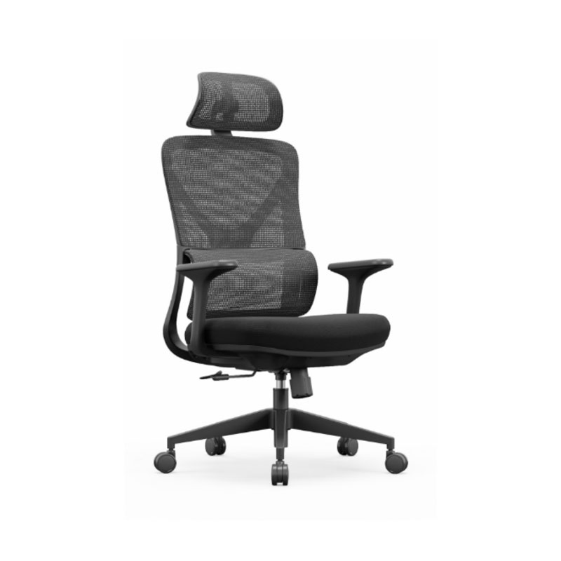 Liyu Modern Ergonomic Swivel Chair Comfortable Home/Office Fabric Study/Computer Desk Chair for Long Sitting Minimalist Design