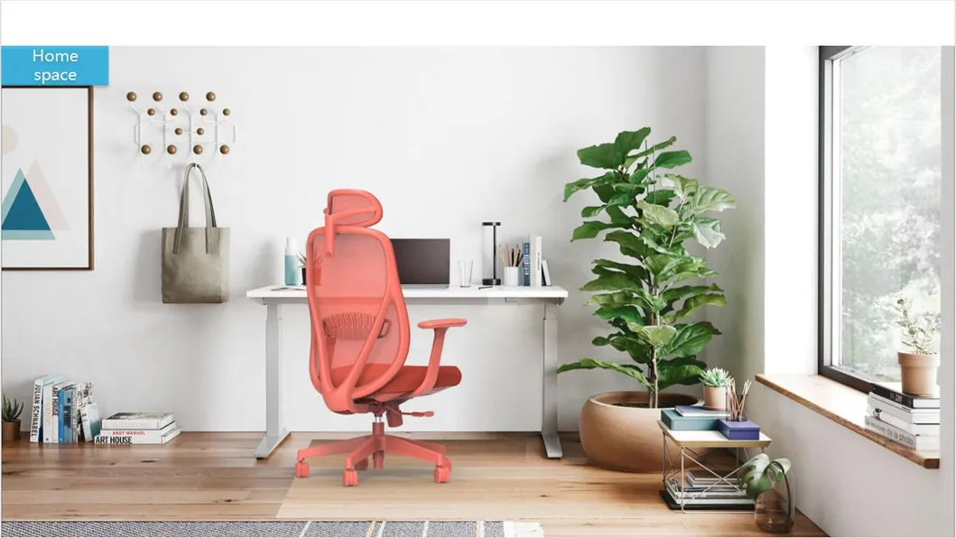 Ergonomic Chair View 2