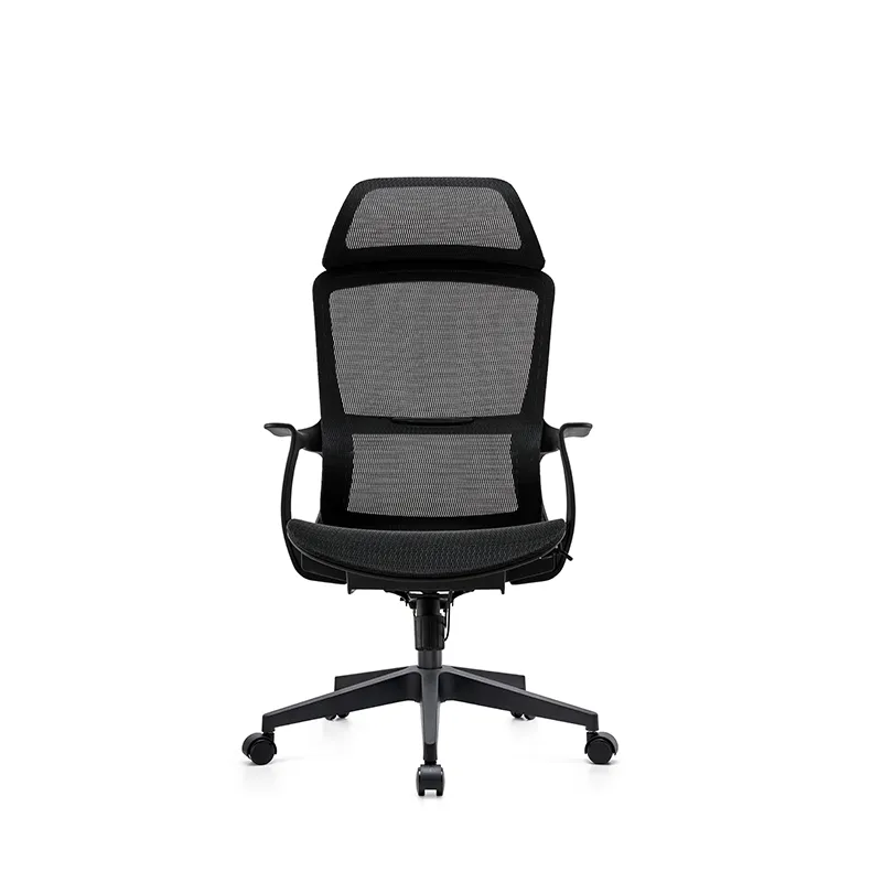 Stylish Mesh Task Chair with Lumbar Support
