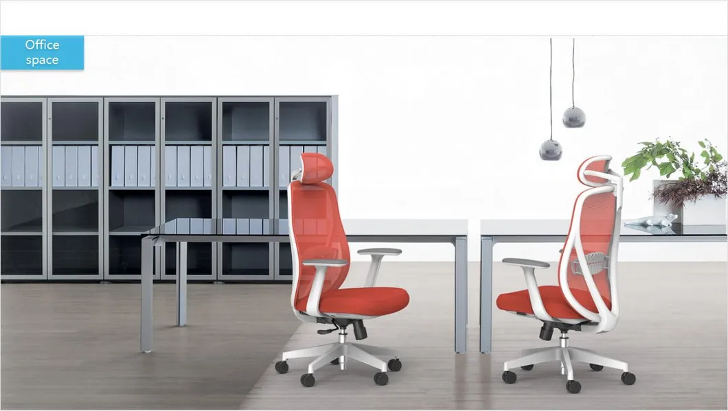 Ergonomic Chair View 1