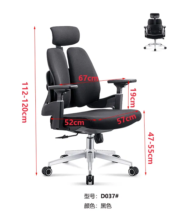 Ergonomic Chair Back