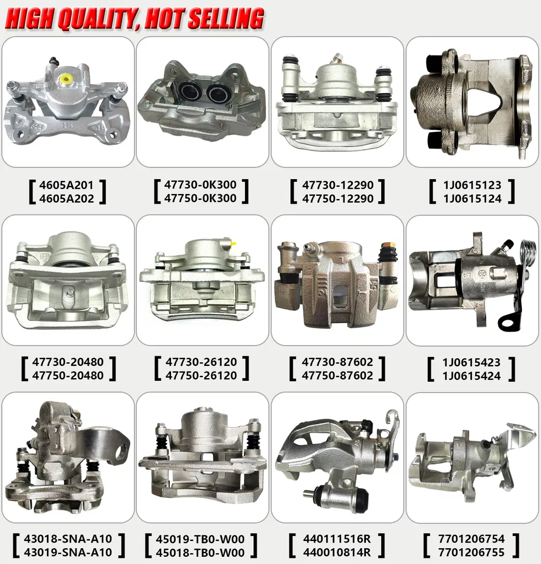 Brake Caliper Detail 1