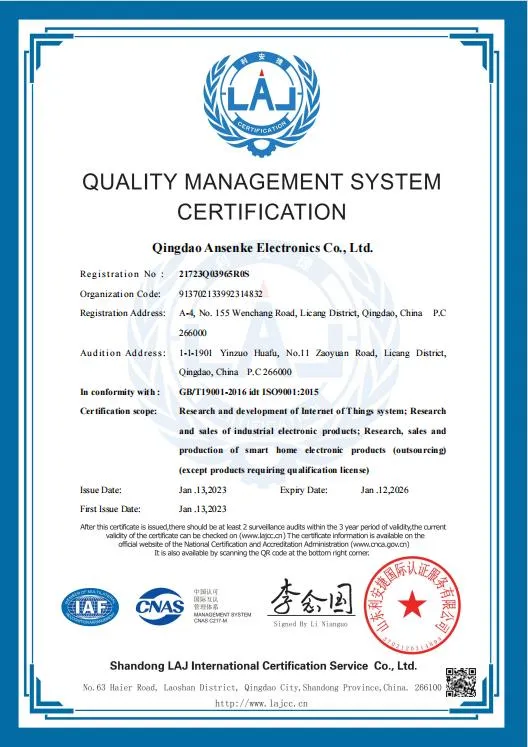 Manufacturing Process 1