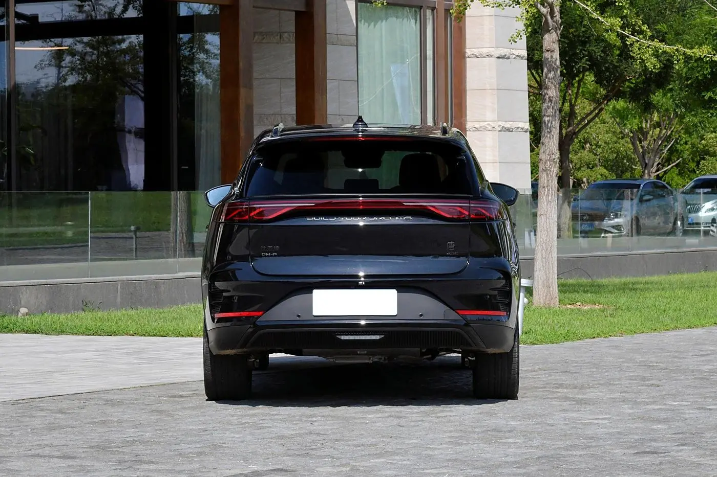 Best China Hot Selling New Energy Vehicles Byd Tang Long Range Electric Cars-black Suppliers, Service