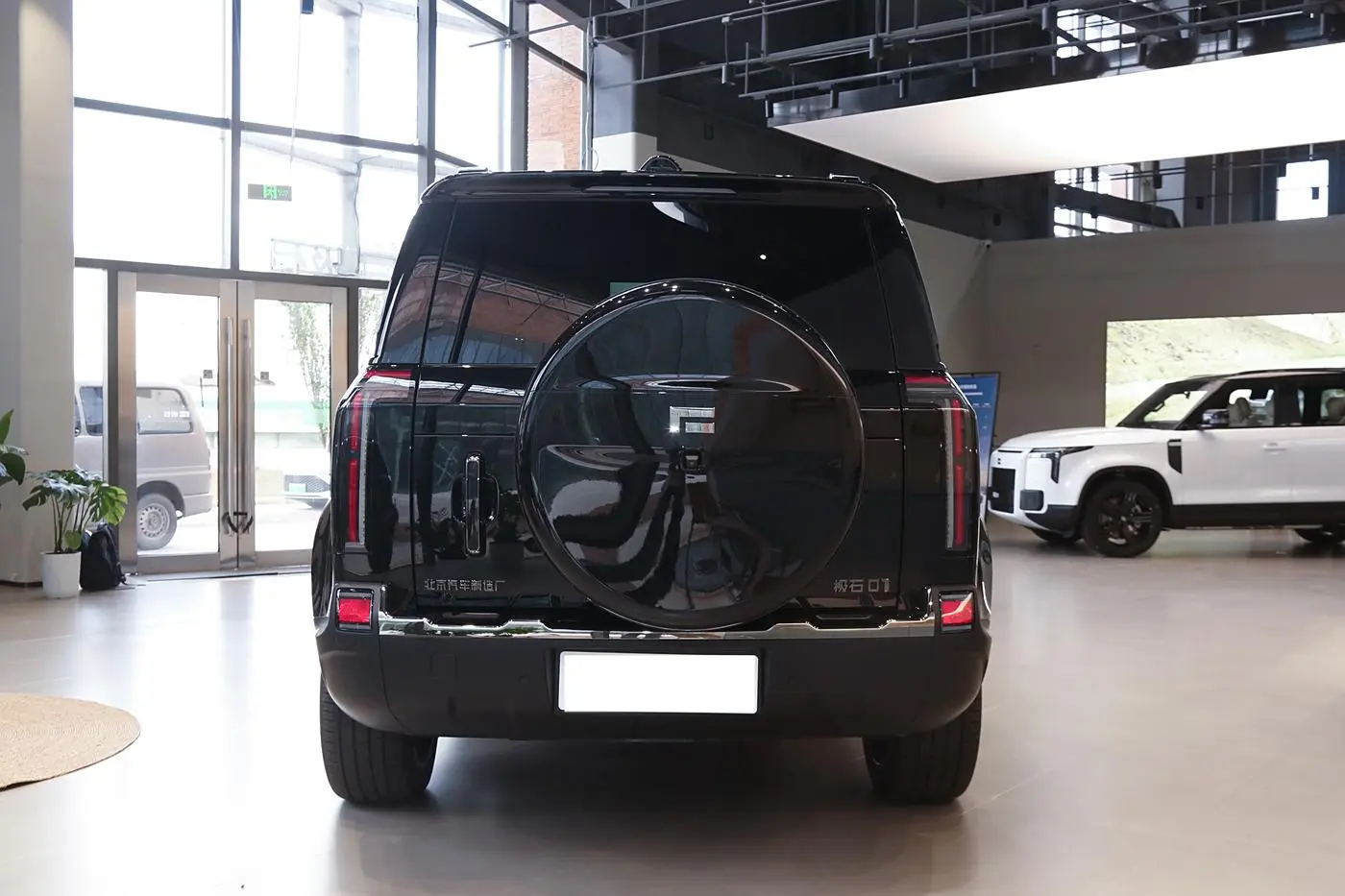 Best ROX 01 Large Luxury SUV Polestone 01 4WD New Energy Vehicle 2024 Jishi 01 New Car Suppliers, Service