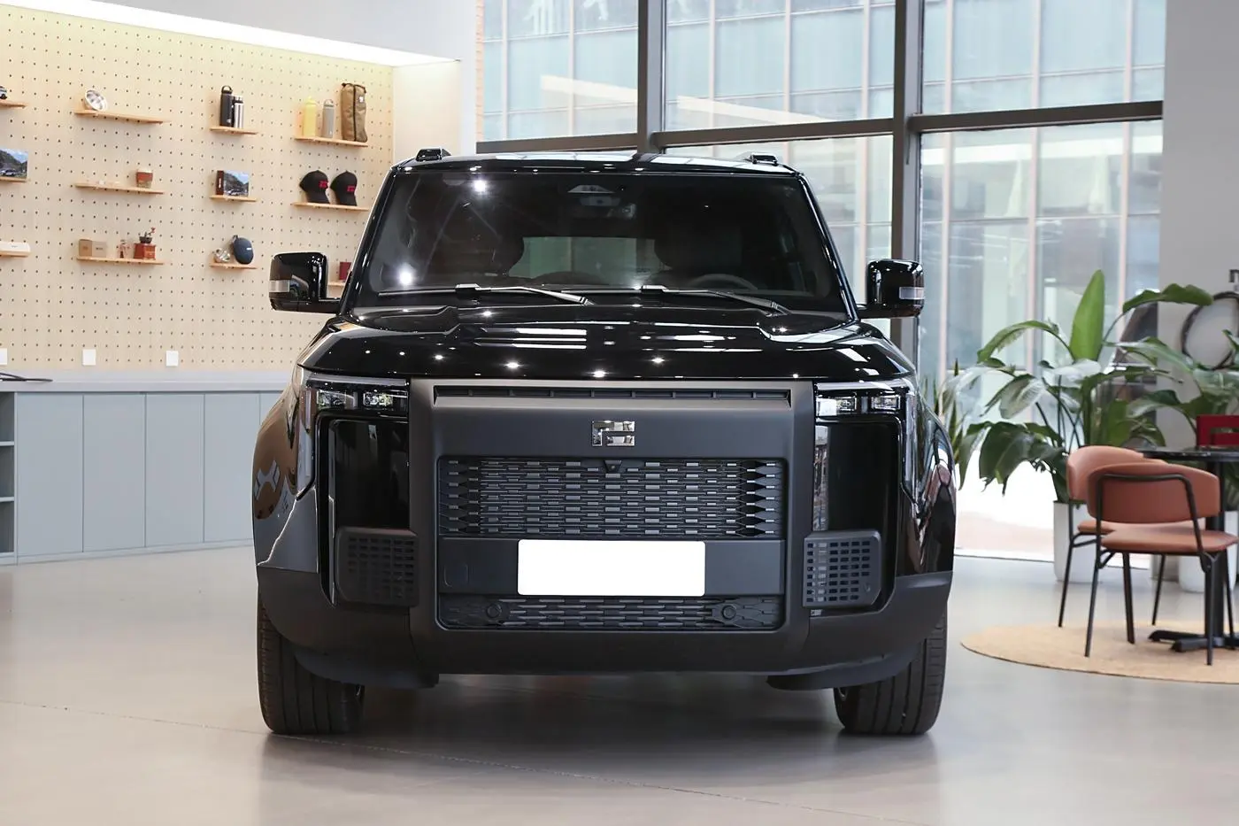 Best ROX 01 Large Luxury SUV Polestone 01 4WD New Energy Vehicle 2024 Jishi 01 New Car Suppliers, Service