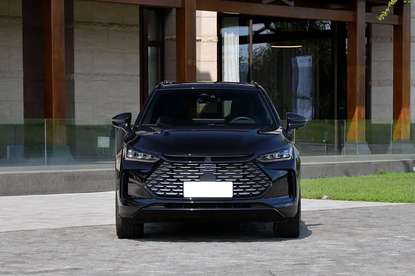 Best China Hot Selling New Energy Vehicles Byd Tang Long Range Electric Cars-black Suppliers, Service