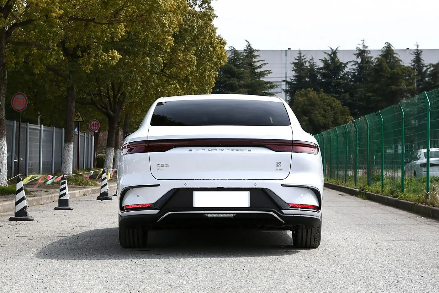 Best Hot Selling Electric Vehicle BYD Han EV Luxury Cheap Electric-white Supplier, Suppliers