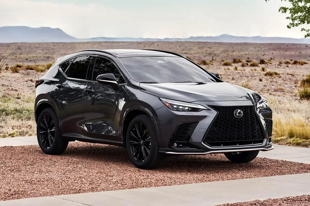 Best Lexus NX 2025 200FUN Supplier, Service