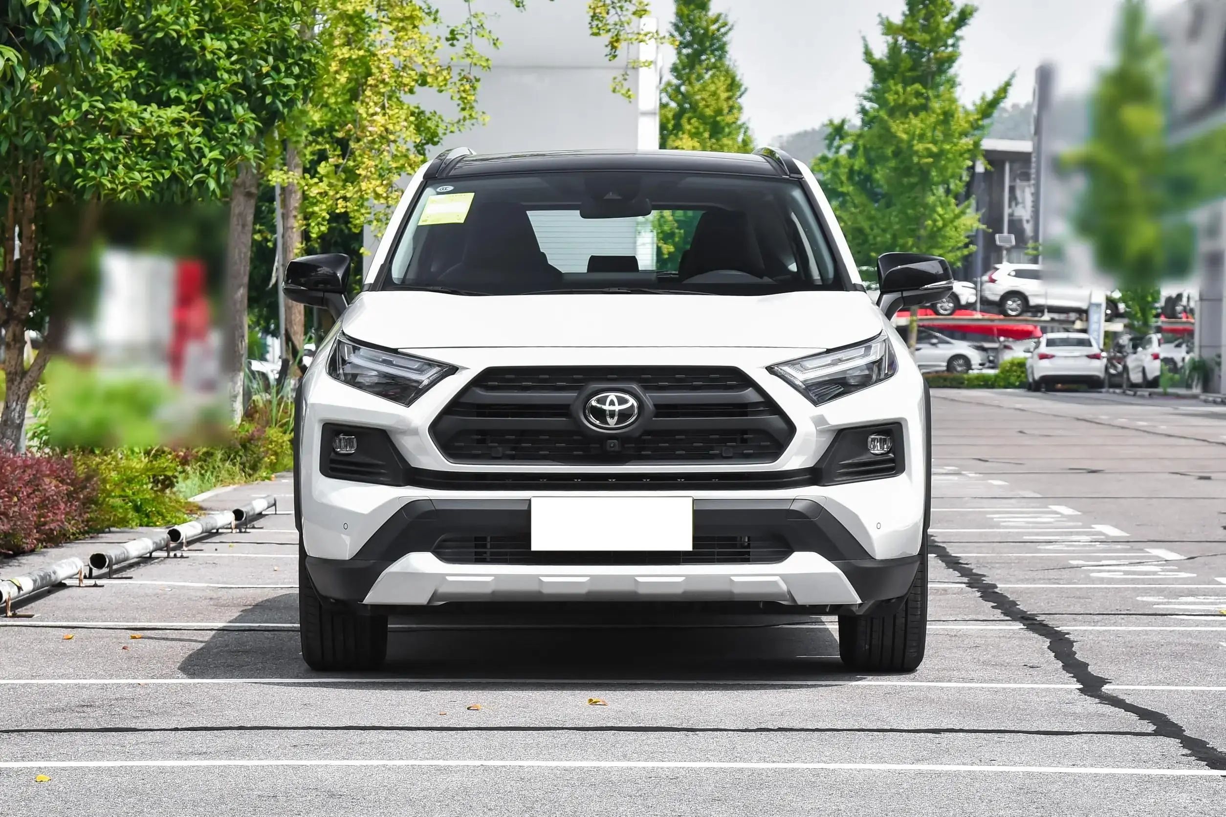 Best Toyota RAV4 2.0L CVT 2WD Gasoline - Chinese Used Car Exporter, Service