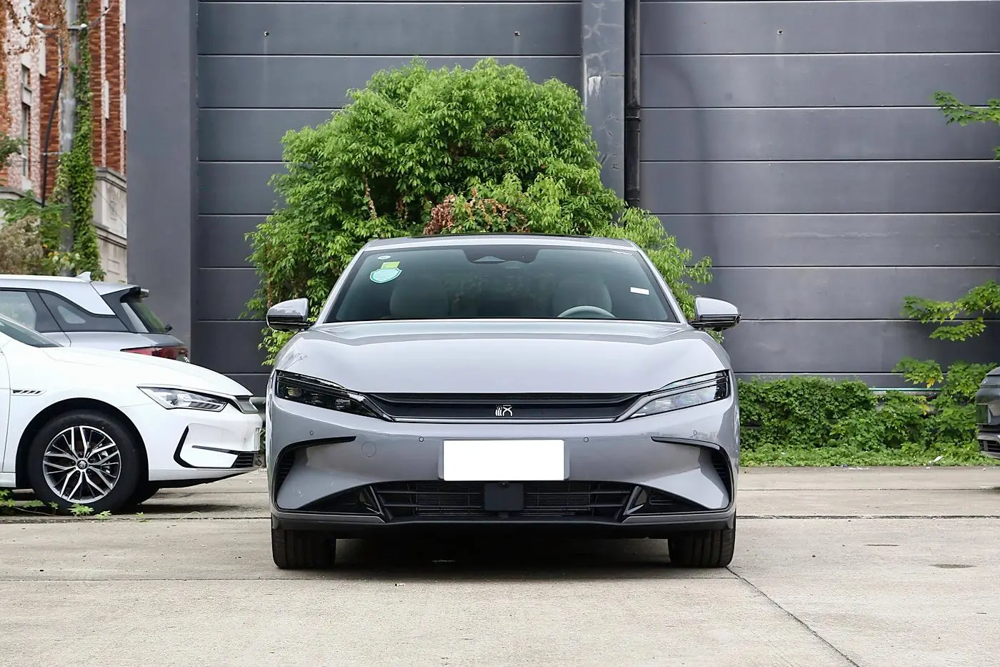 Cheap Hot Selling Electric Vehicle BYD Han EV Luxury Cheap Electric-Gray Suppliers, Service