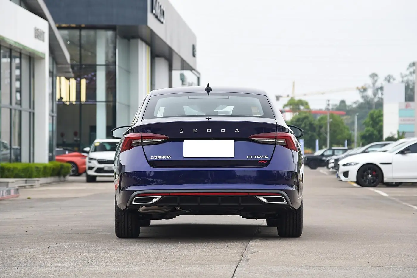 Best Hot Sale Skoda Octavia Luxury Version 5 Seats Gasoline Car Suppliers, Service