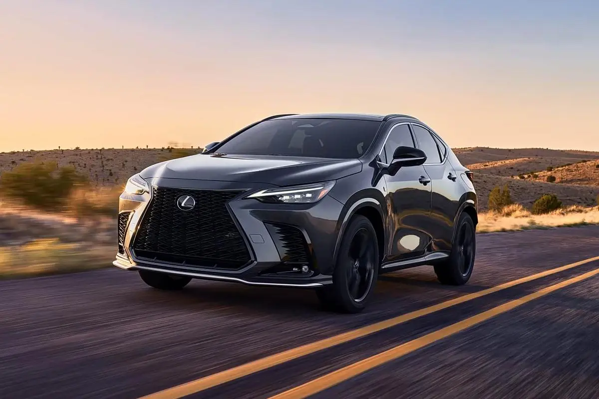 Best Lexus NX 2025 200FUN Supplier, Service
