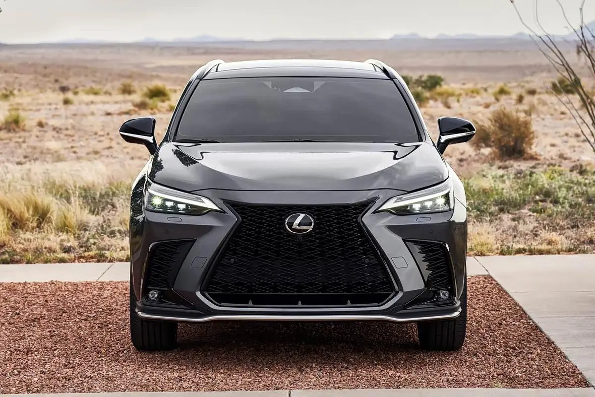 Best Lexus NX 2025 200FUN Supplier, Service