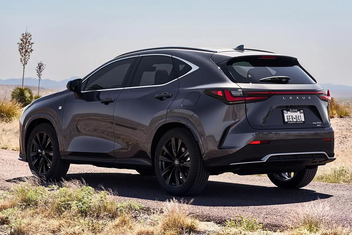 Best Lexus NX 2025 200FUN Supplier, Service