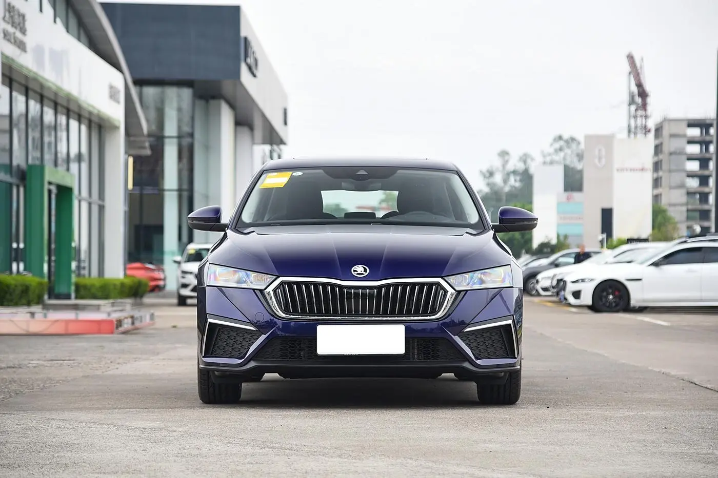 Best Hot Sale Skoda Octavia Luxury Version 5 Seats Gasoline Car Suppliers, Service