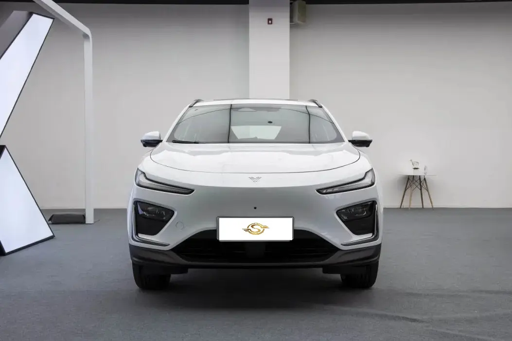 Best Neta X 500 Fwd 5-Seat Electric Vehicle New Energy SUV Suppliers, Exporter