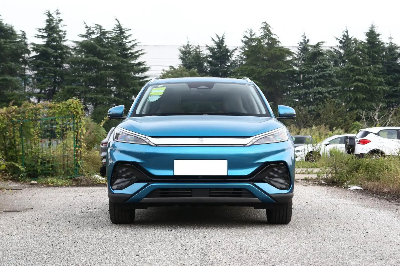 Best Hot sale byd yuan plus ev 2024 Long range Electric Energy Vehicle Surfing Blue Appearance Supplier, Service