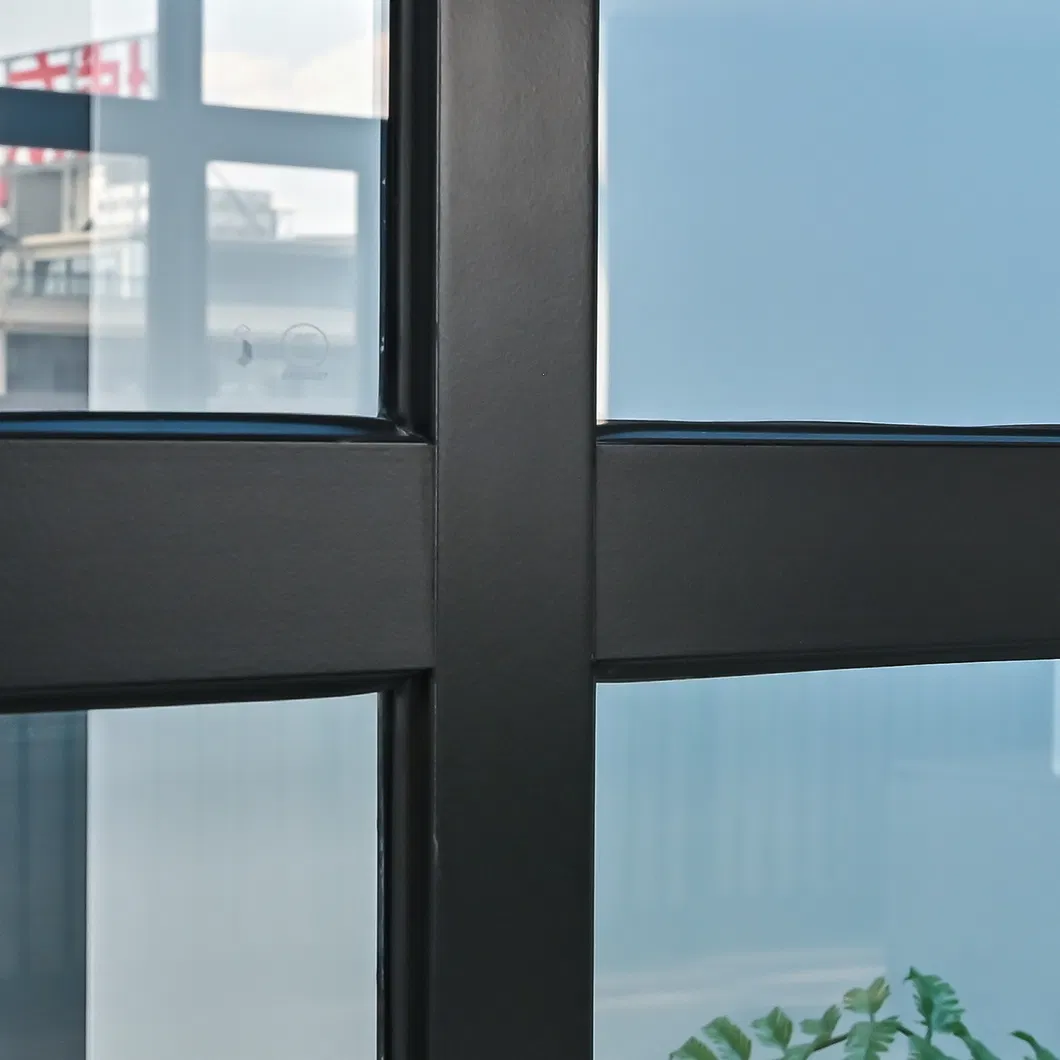 Window Cross Section