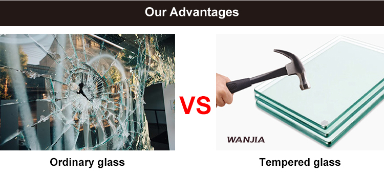 Tempered Glass