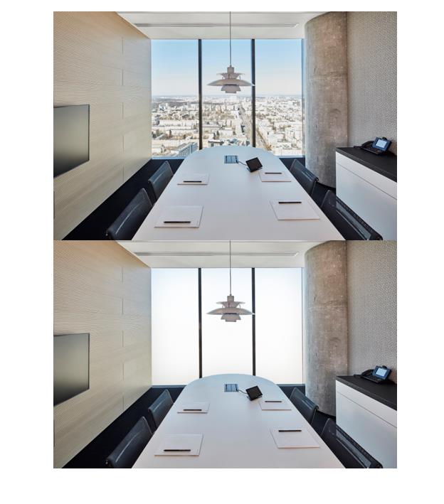 Switchable Privacy Glass
