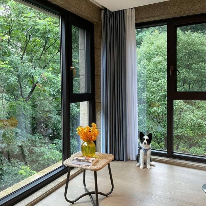Modern Design Energy-Efficient Fixed Swing Picture Window Aluminum Alloy Casement Window Soundproof Heat Insulation for Villa