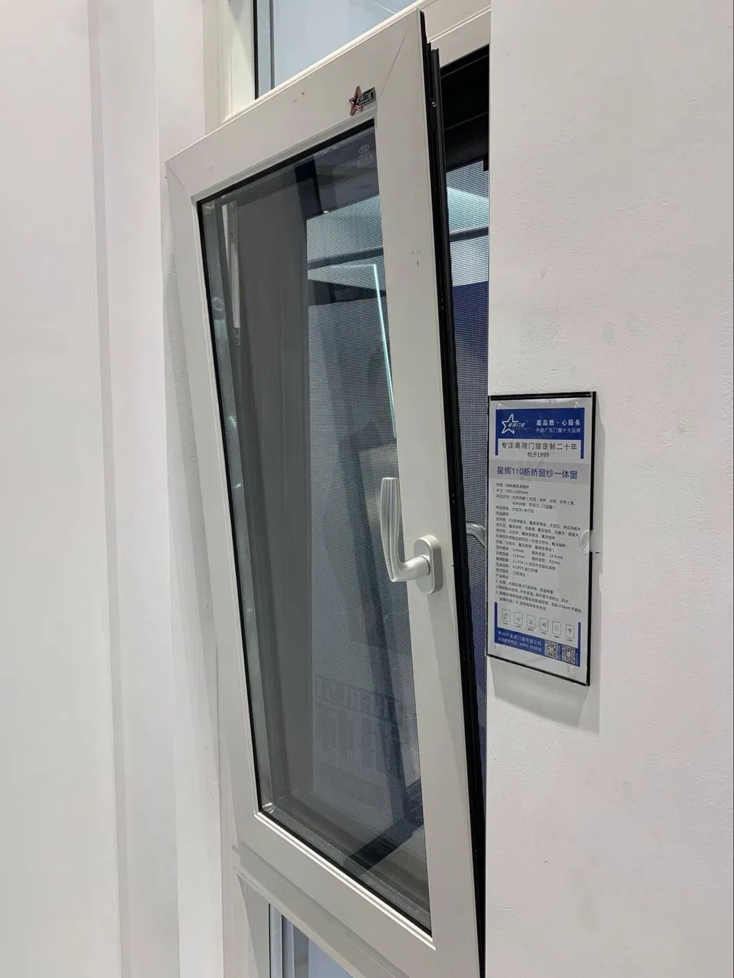 Vertical Window Detail 3