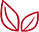 Sustainable packaging icon