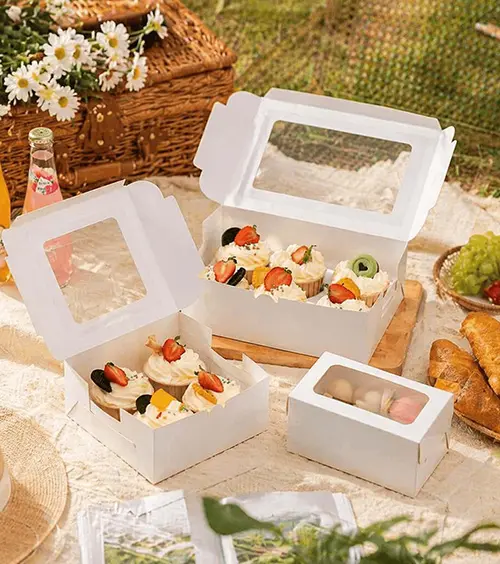Picnic supplies packaging case
