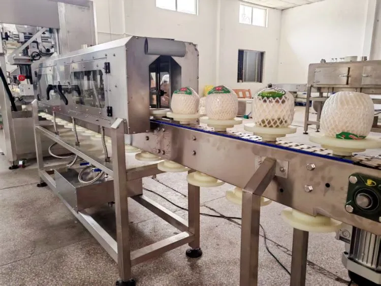 Horizontal Coconut Heat Shrink Wrap Machine Detail 2