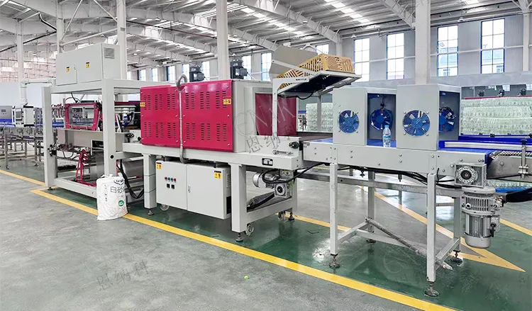 Automatic PE Film Heat Shrink Tunnel Sleeve Wrapping Packing Machine details