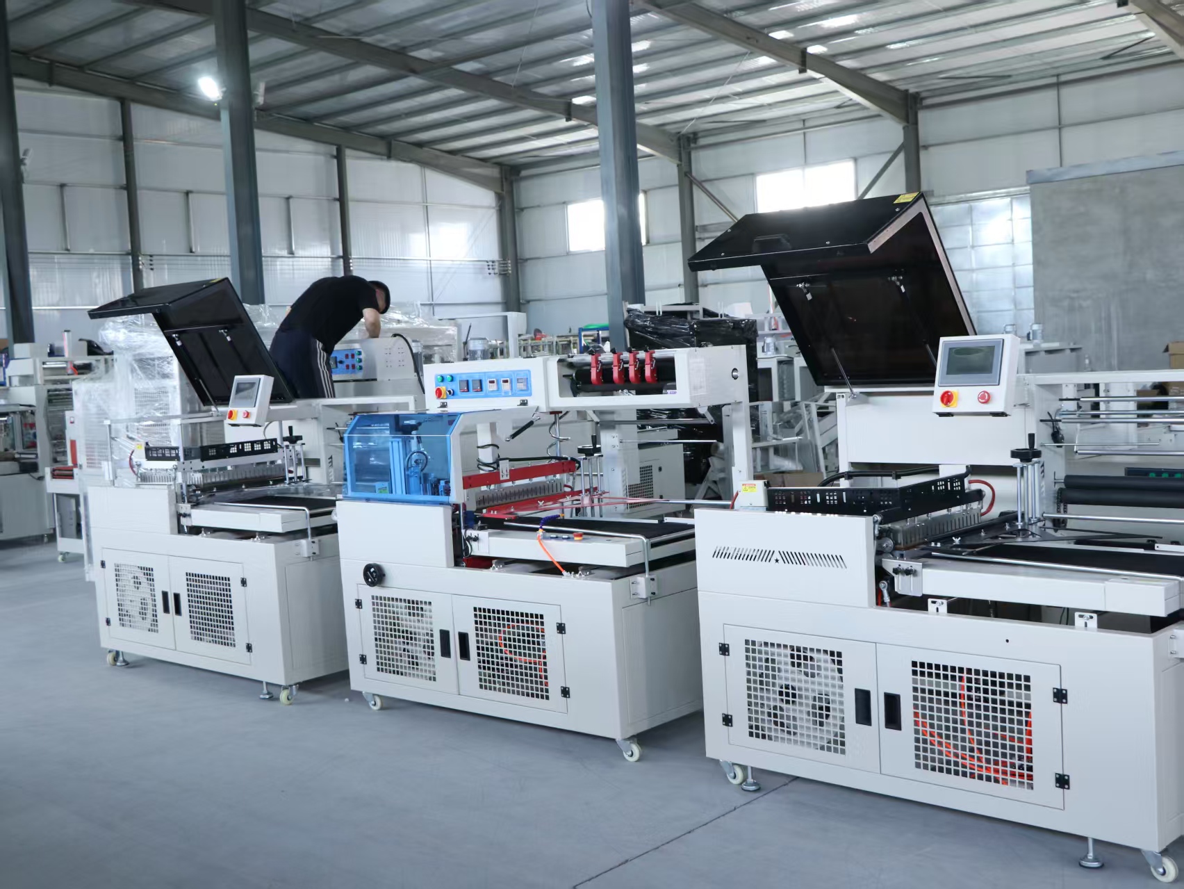 FQL450 Fully Automatic Heat Shrink Packaging Machine with Side Seal and L-shaped Side Cutting for Shrink Packaging
