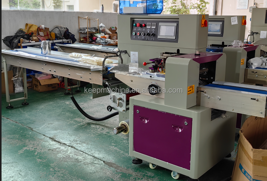 Pillow Packaging Machine Model View 2