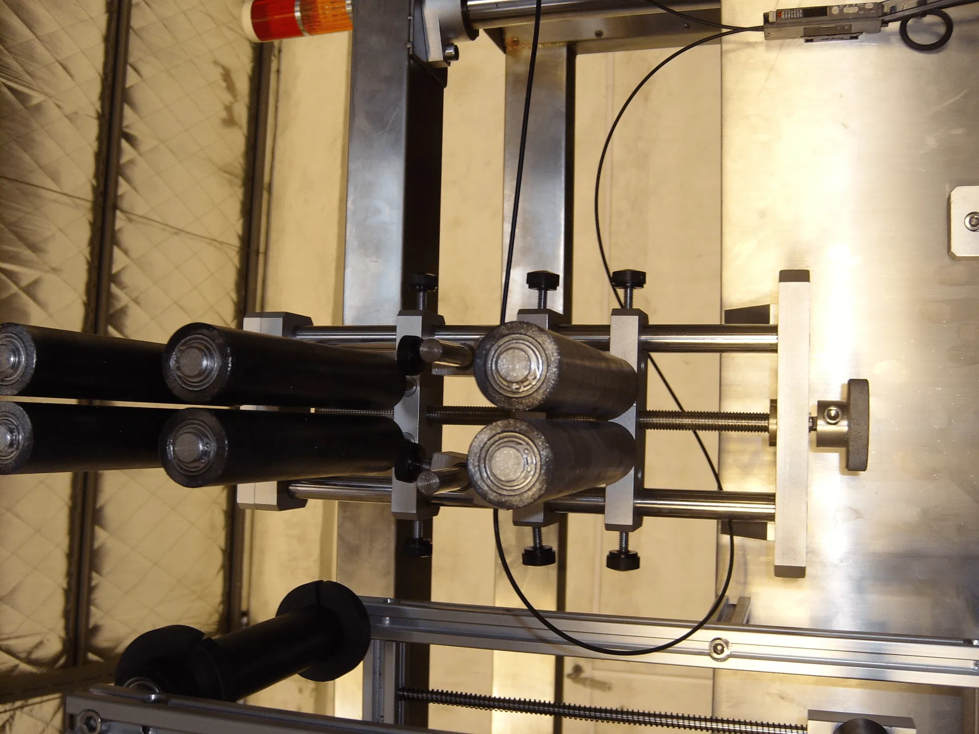 Bottle carrying system