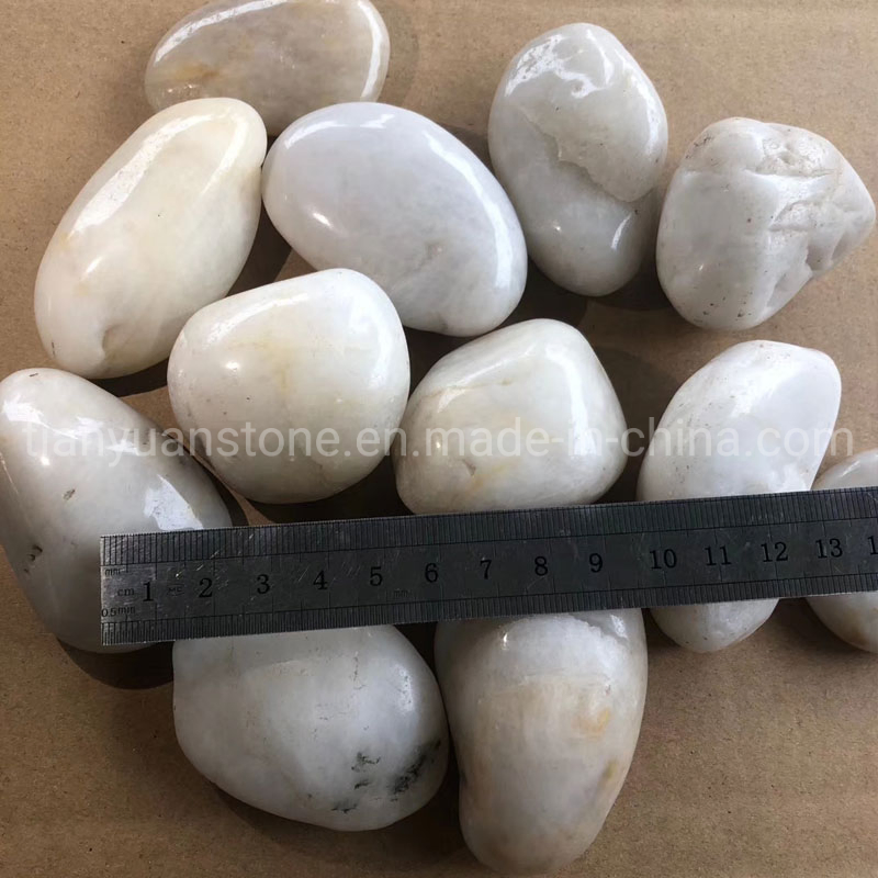 Natural Loose White Pebble Stepping Stone