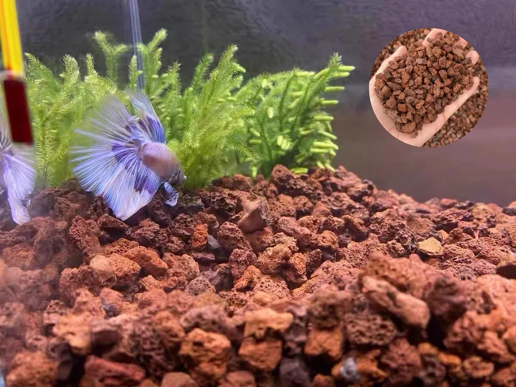 Product Specification