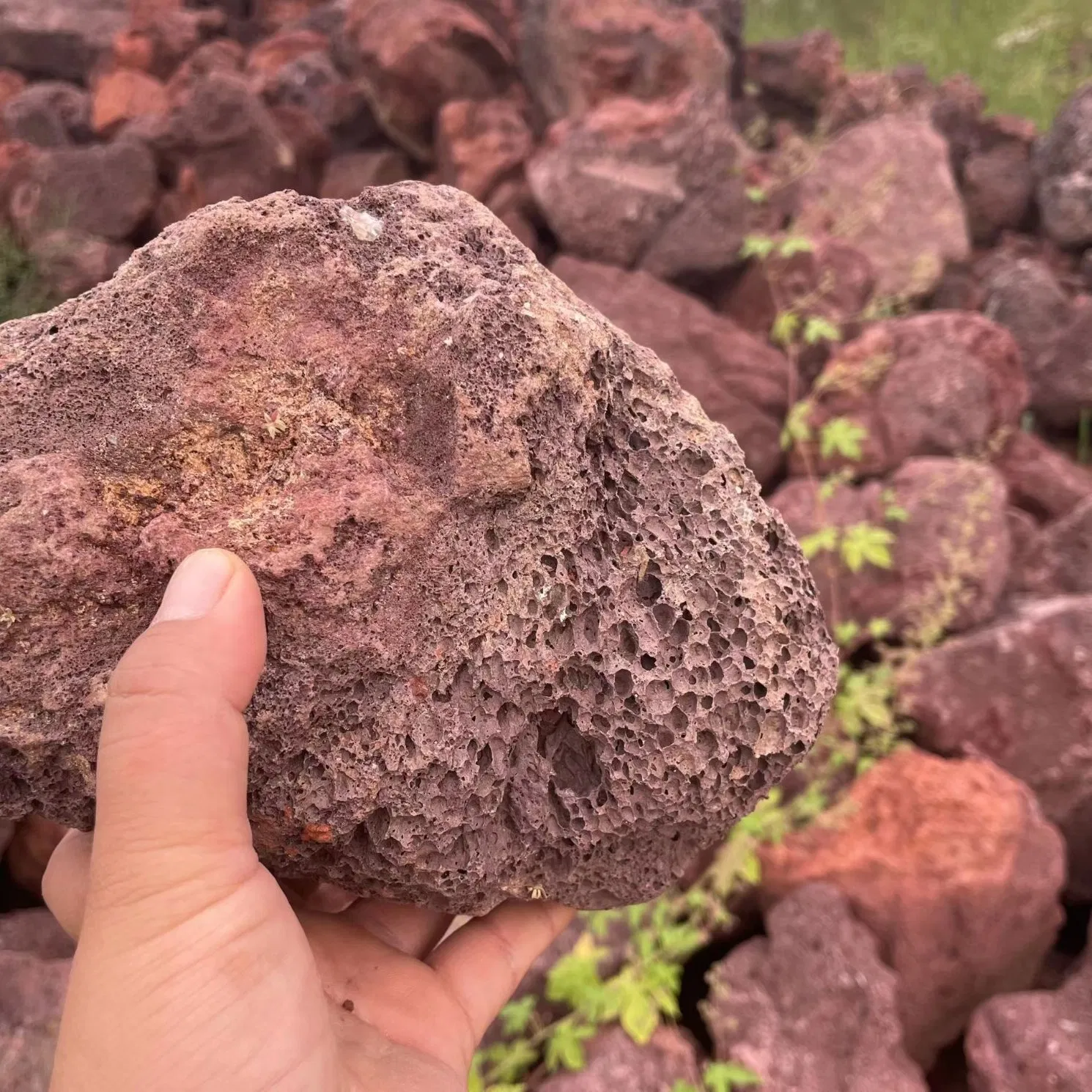 Decorative Red Volcanic Lava Rocks for Aquarium Landscaping