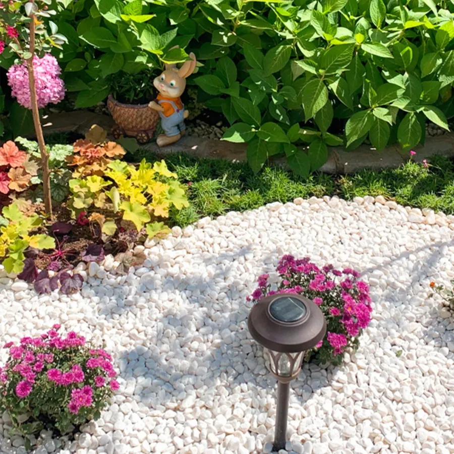 Polished White Stones