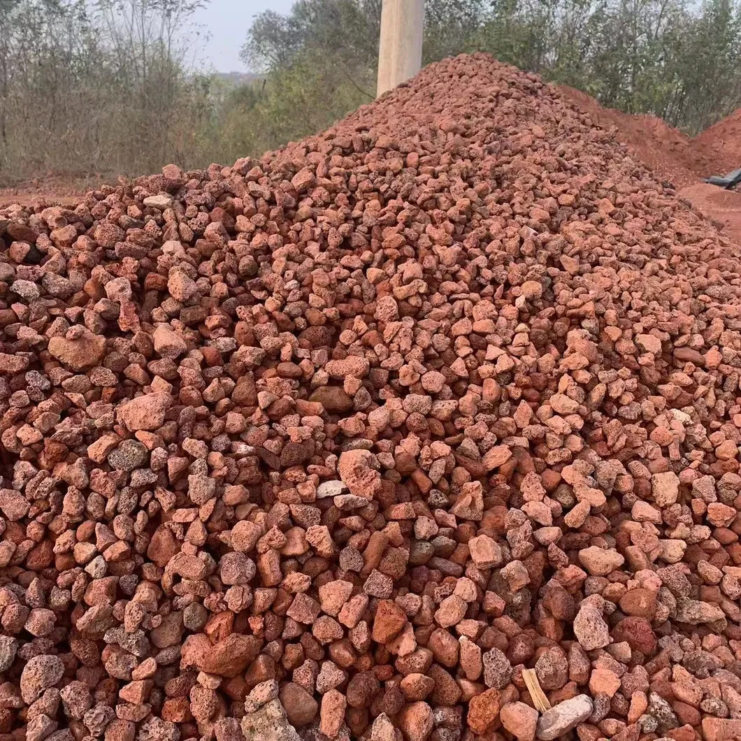 Volcanic Lava Rock Display