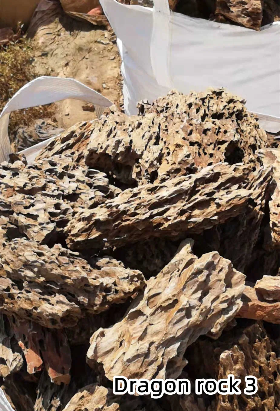 Detailed Dragon Stone 3