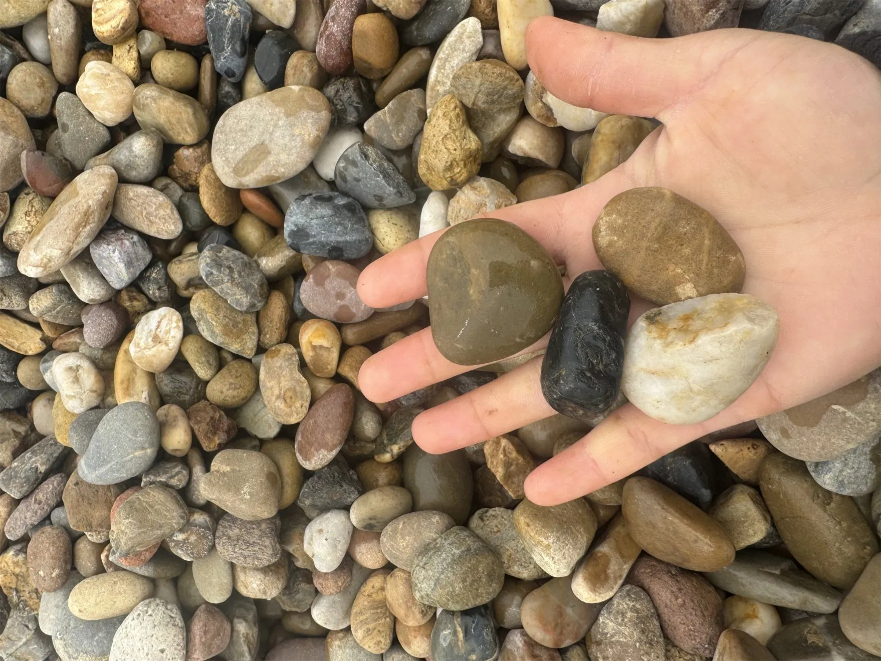 Mixed Colorful Natural Polished Pebble Garden Pebbles Stone for Landscaping Paving Flooring