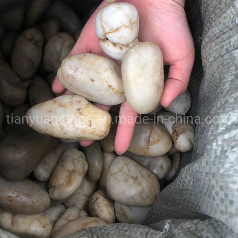 Natural Loose White Pebble Stepping Stone