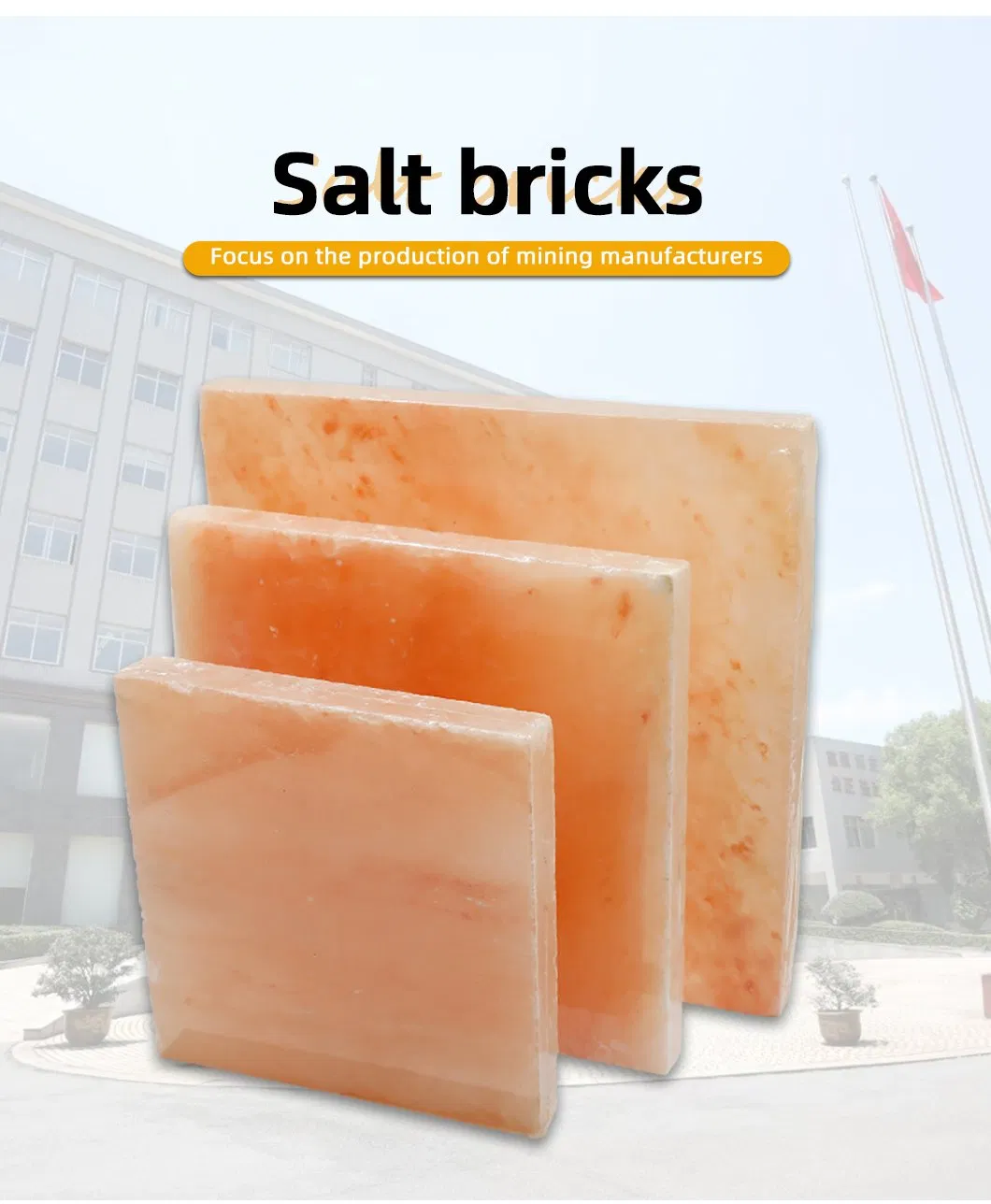 Salt Blocks Details