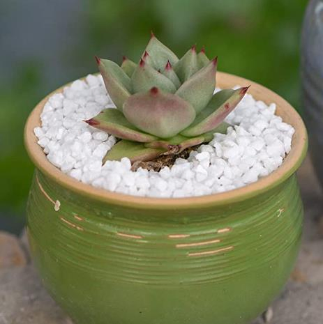 White Pebbles, Decorative White Rocks for Planters, Vase, Garden, Landscaping, Succulents, Highly Polished and Smooth Surface