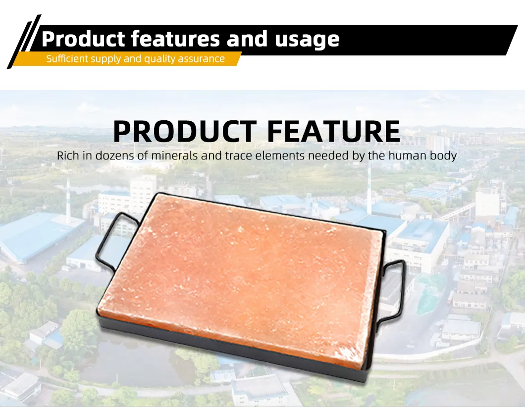 Salt Brick Application